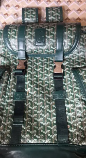 Goyard Backpack