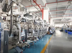 4 Sides Sealing Packaging Machine