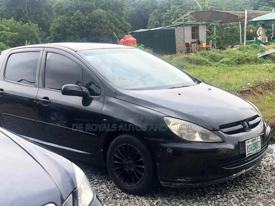 Peugeot 307 2008 Blue