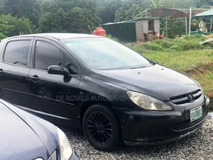 Peugeot 307 2008 Blue