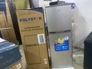 Polystar PV-DD250DL Double Door Refrigerator – 250L Modern Design