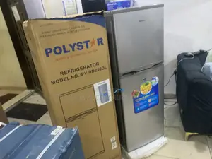 Polystar PV-DD250DL Refrigerator – 250L Reliable Cooling