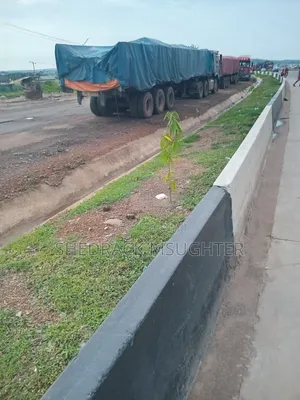 Distributor of Dangote Cement and Bua