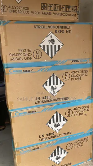C Worth 2.5kwh/24v Lithium Battery