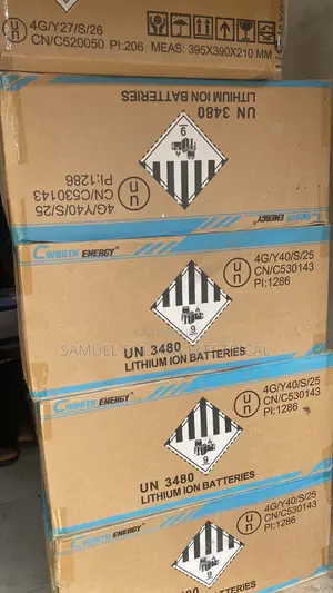 C Worth 2.5kwh/24v Lithium Battery