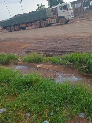Distributor of Dangote Cement and Bua