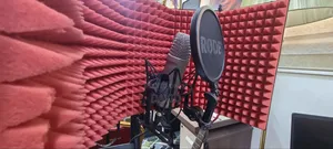 Rode Nt1a Mic Acoustic Shield