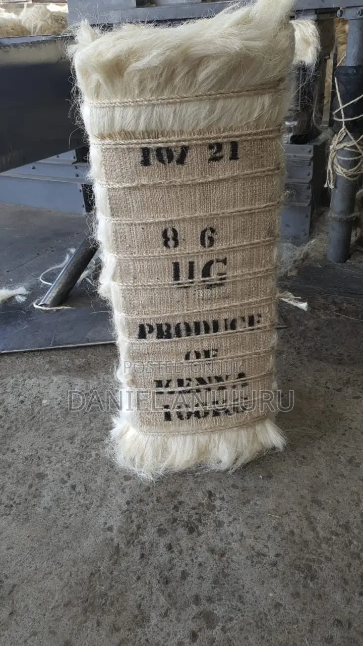 Sisal Fire ( Fillas )