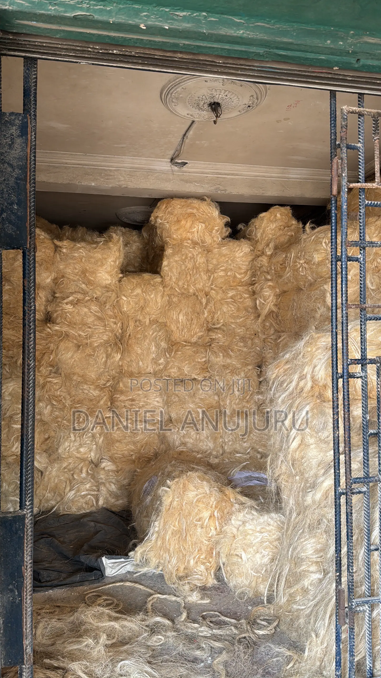 Sisal Fire ( Fillas )