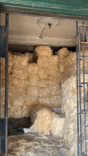 Sisal Fire ( Fillas )