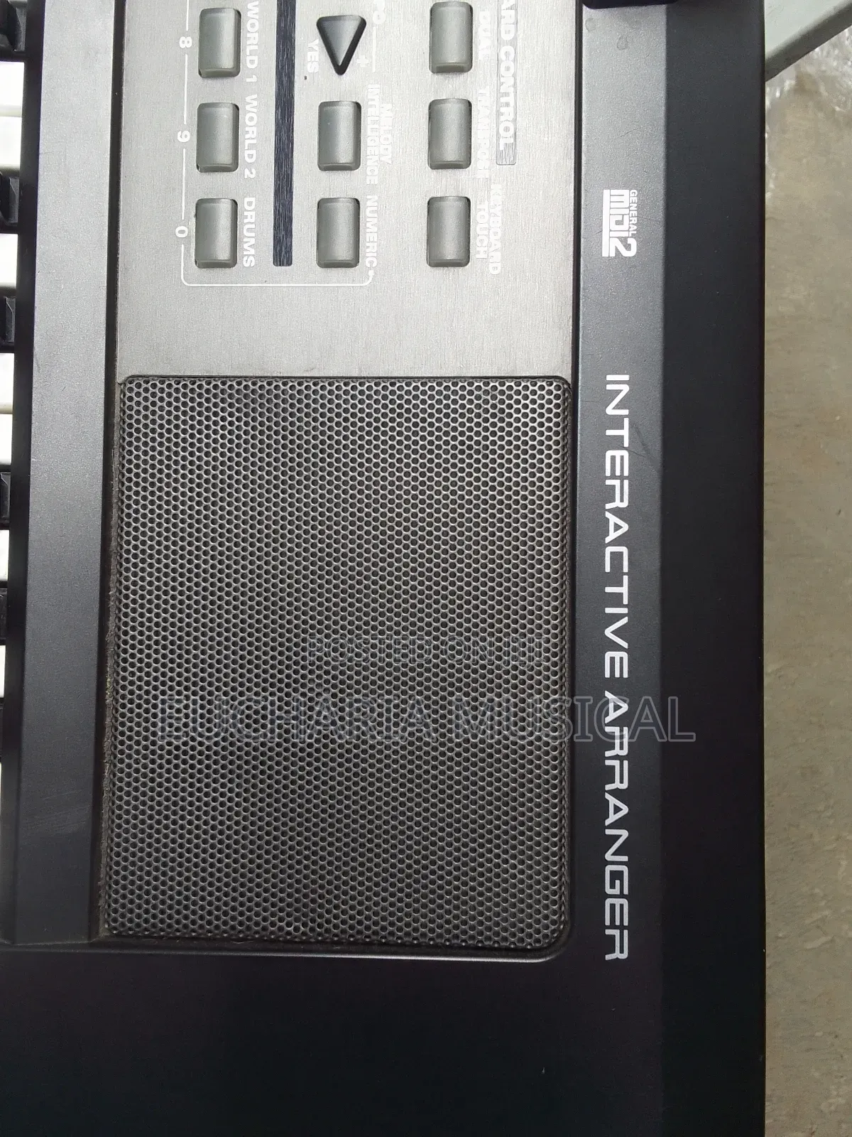 Roland E-09 Interactive Arranger Keyboard