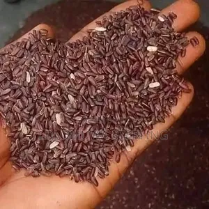 Brown Rice