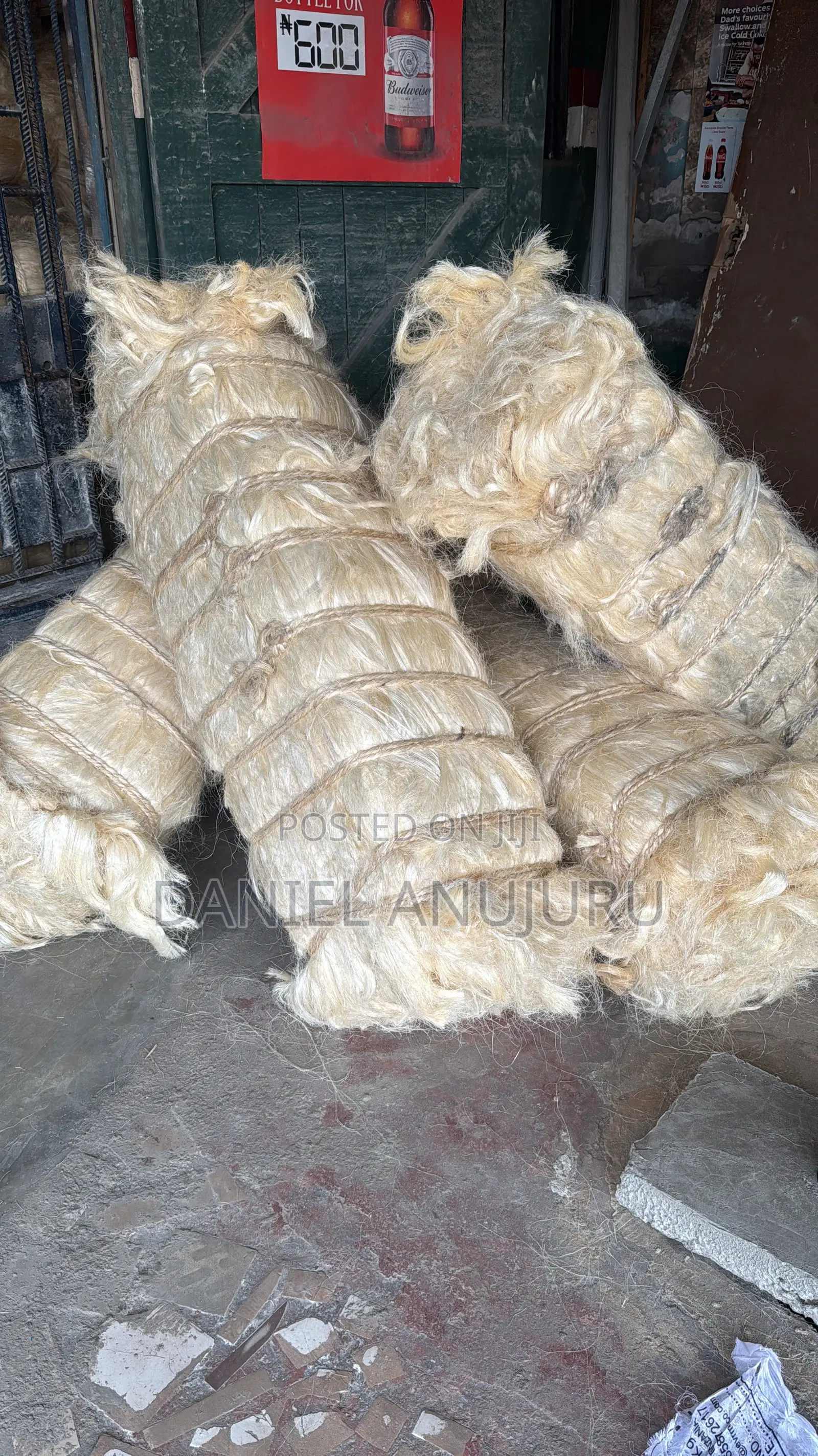 Sisal Fire ( Fillas )