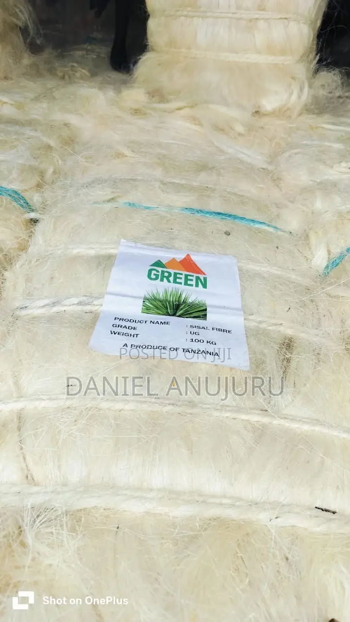 Sisal Fire ( Fillas )
