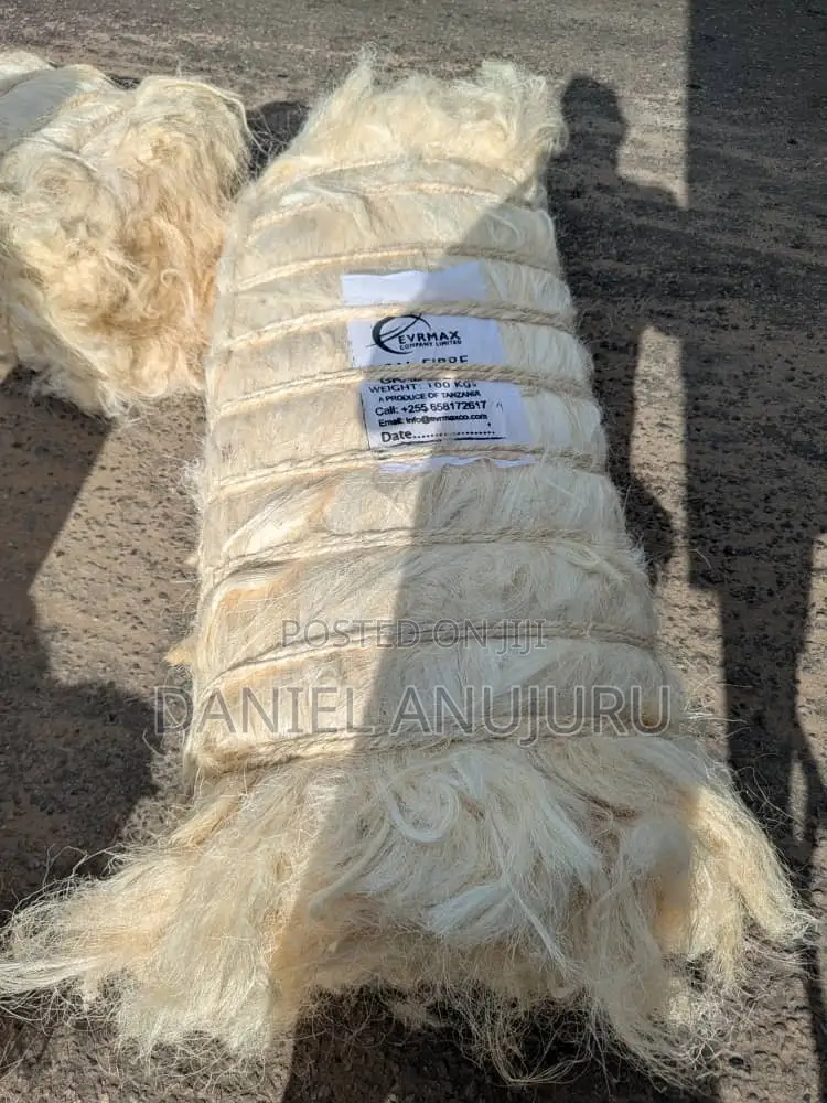Sisal Fire ( Fillas )