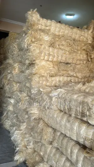 Sisal Fire ( Fillas )
