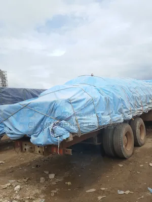 Dangote Cement 3x