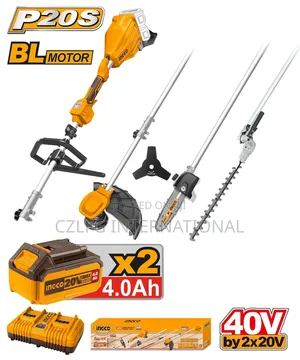 40v Ingco Lithium Ion Garden Tools