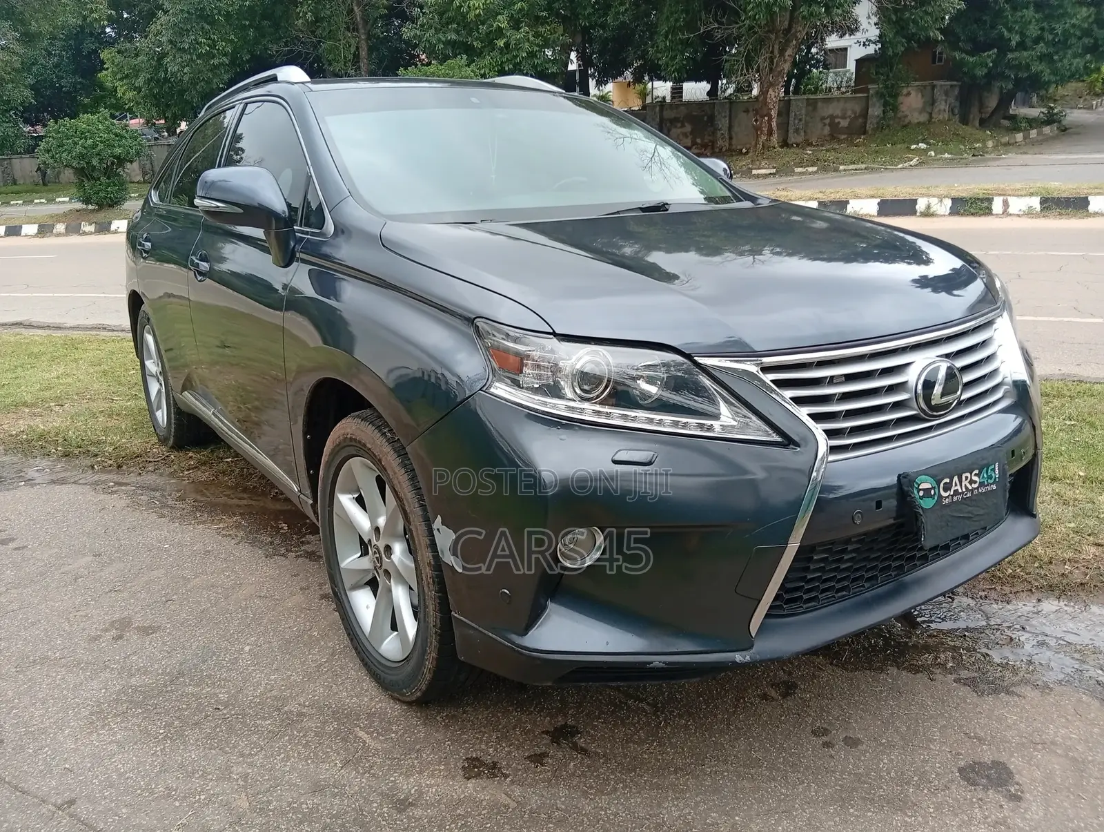 Lexus RX 350 2010 Gray