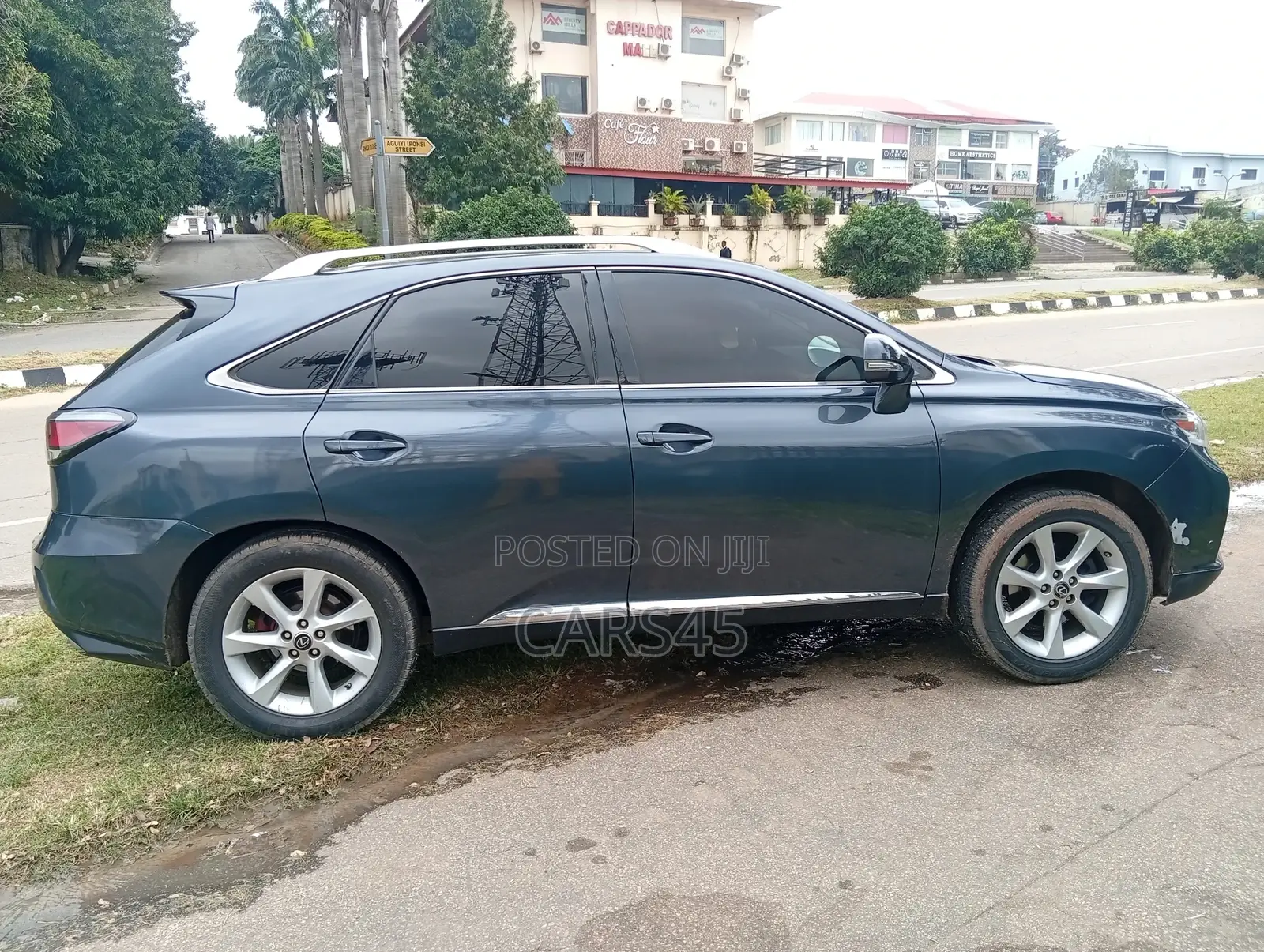 Lexus RX 350 2010 Gray