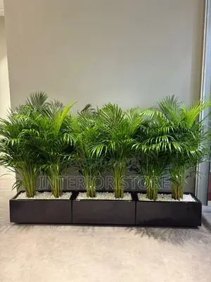 Artificial Plants and Vases