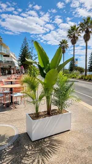 Artificial Plants and Vases