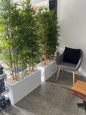 Artificial Plants and Vases