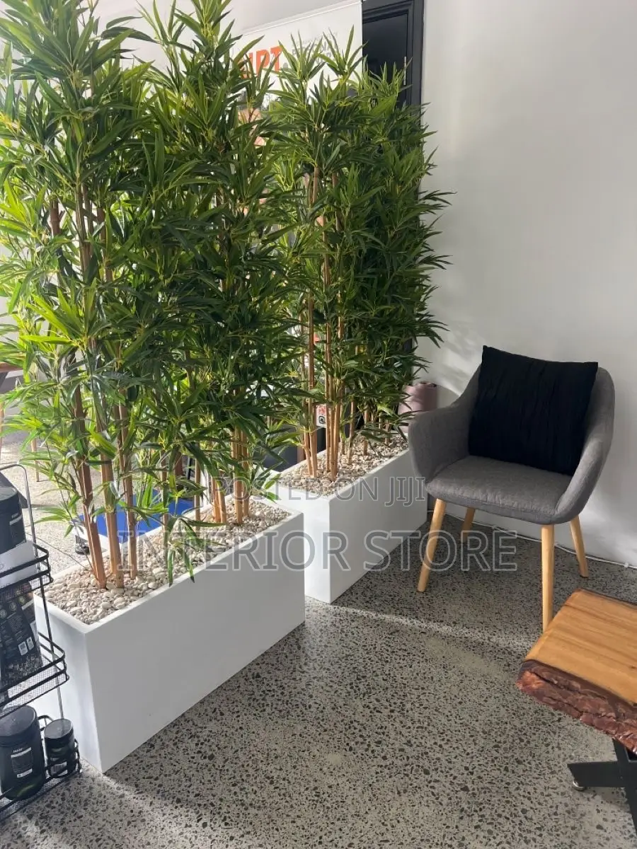 Artificial Plants and Vases