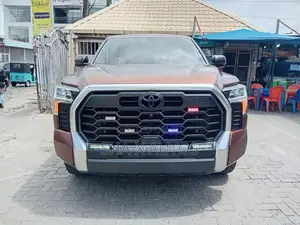 Toyota Tundra 2024 Brown