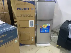 Polystar 250L PV-DD250DL Refrigerator for Fresh Grocery Storage