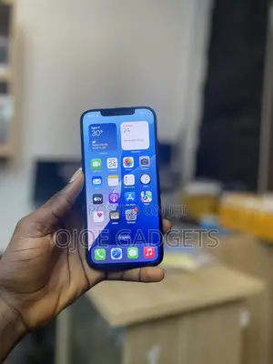 Apple iPhone 12 Pro Max 256 GB Blue
