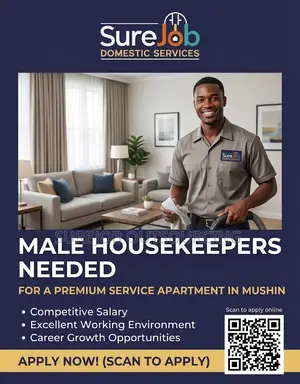Male Housekeepers Needed at a Service Apartment in Mushin