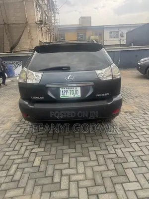 Lexus RX 2009 Gray