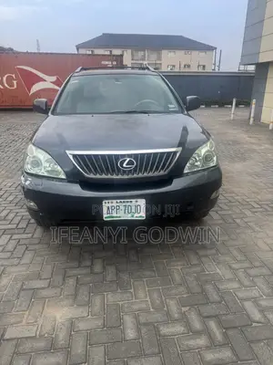Lexus RX 2009 Gray