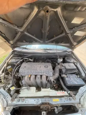 Toyota Corolla 2005 Gray