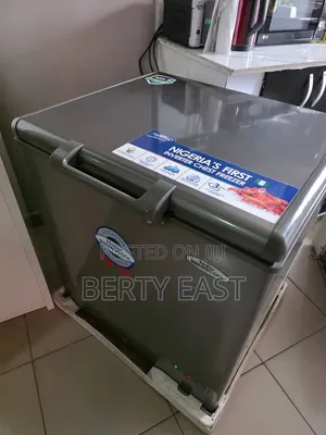 219l Thermocool Inverter Freezer