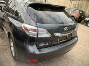 Lexus RX 2010 Gray