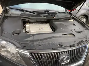 Lexus RX 2010 Gray