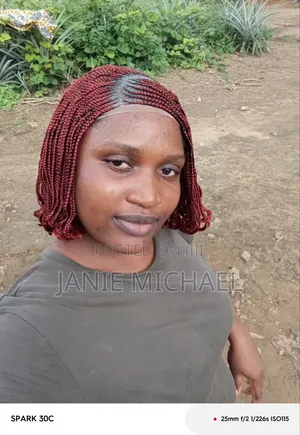 Braided Wigs