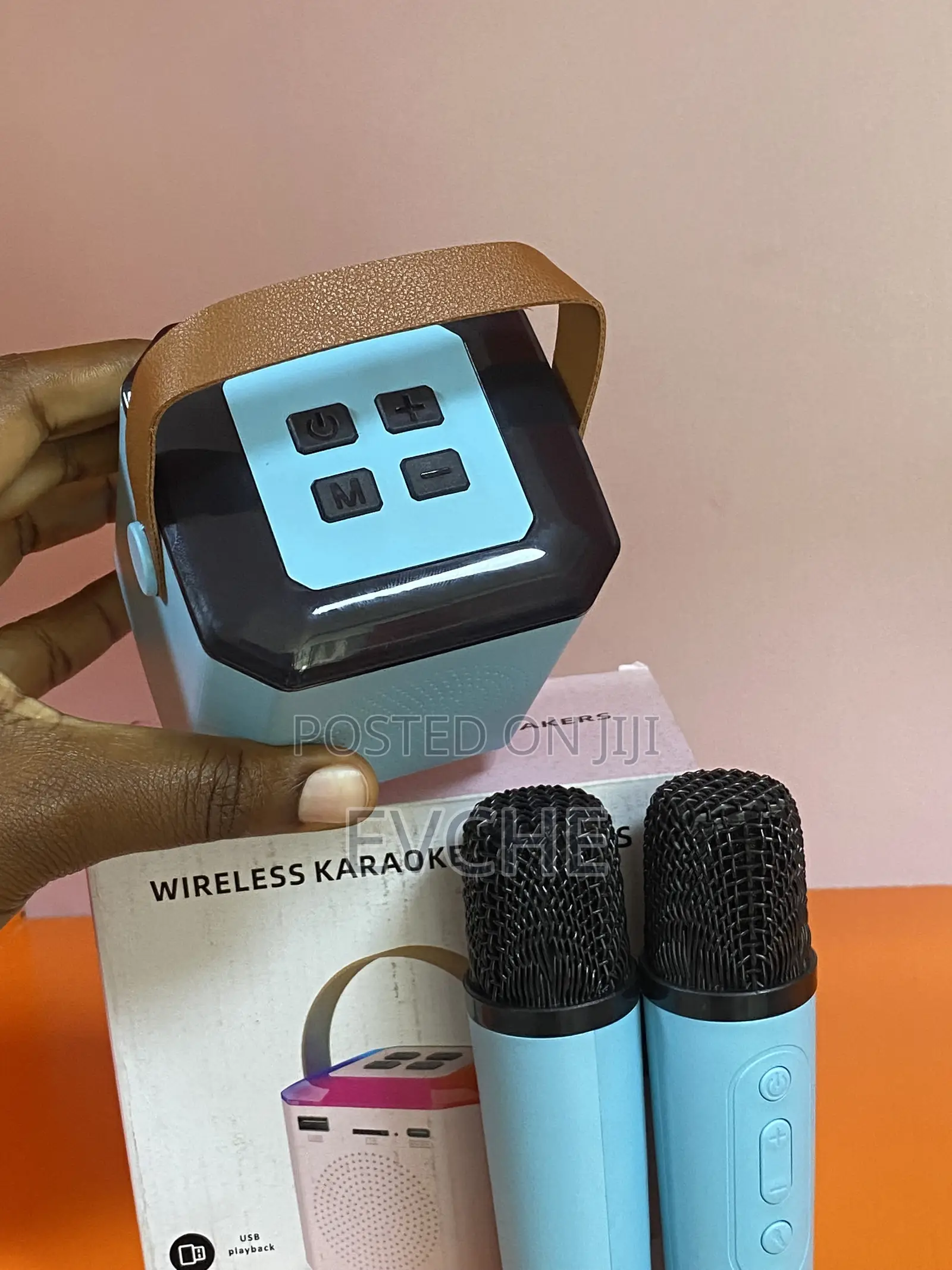 Wireless Karaoke Speaker