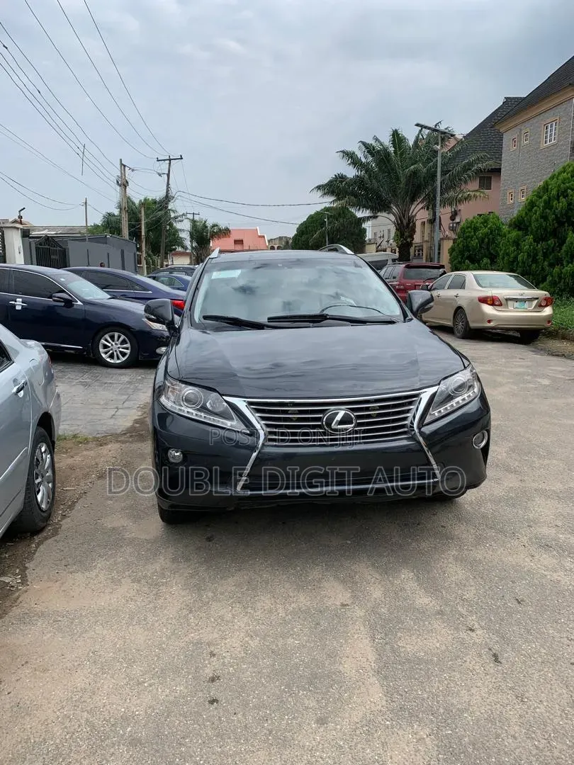 Lexus RX 2010 Gray
