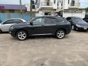 Lexus RX 2010 Gray