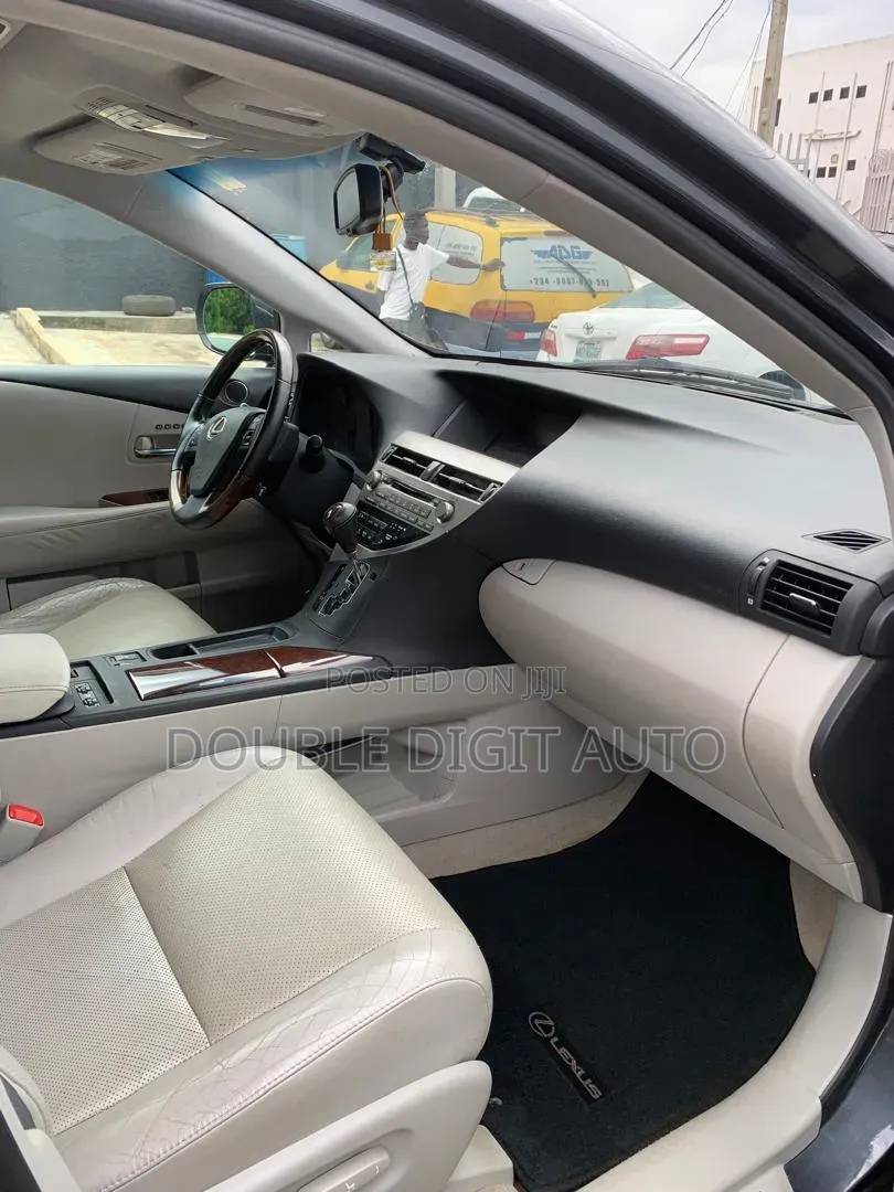 Lexus RX 2010 Gray