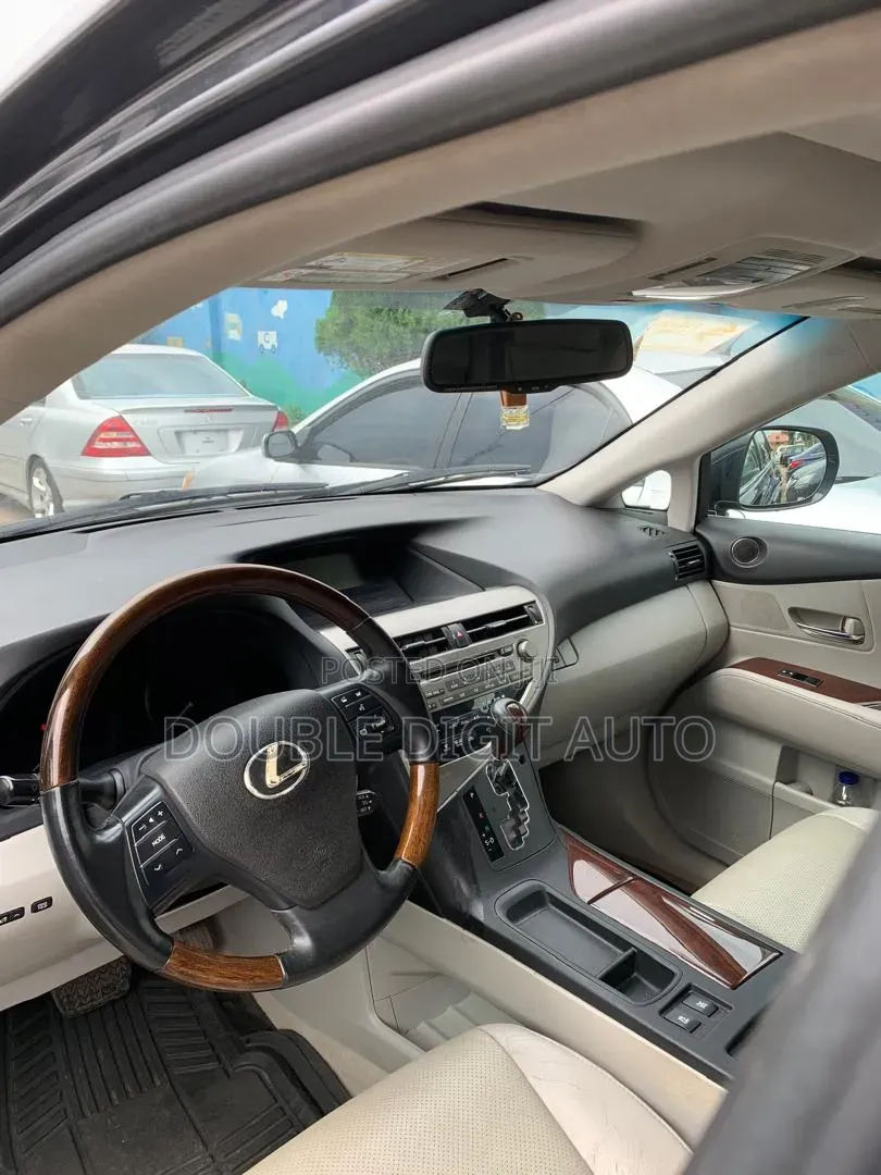 Lexus RX 2010 Gray