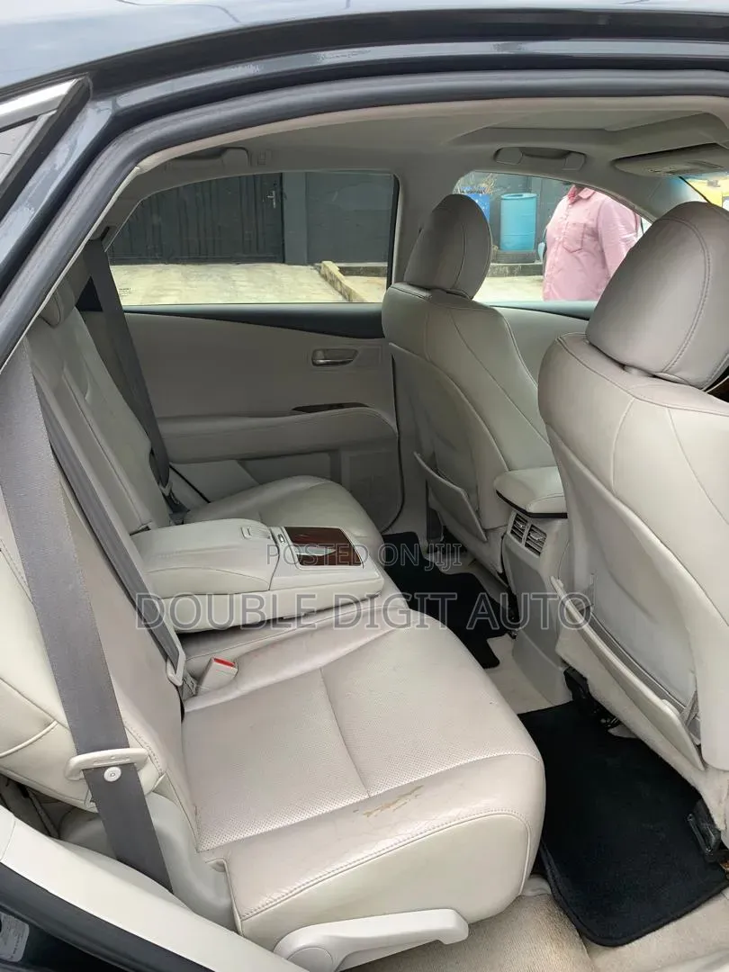 Lexus RX 2010 Gray