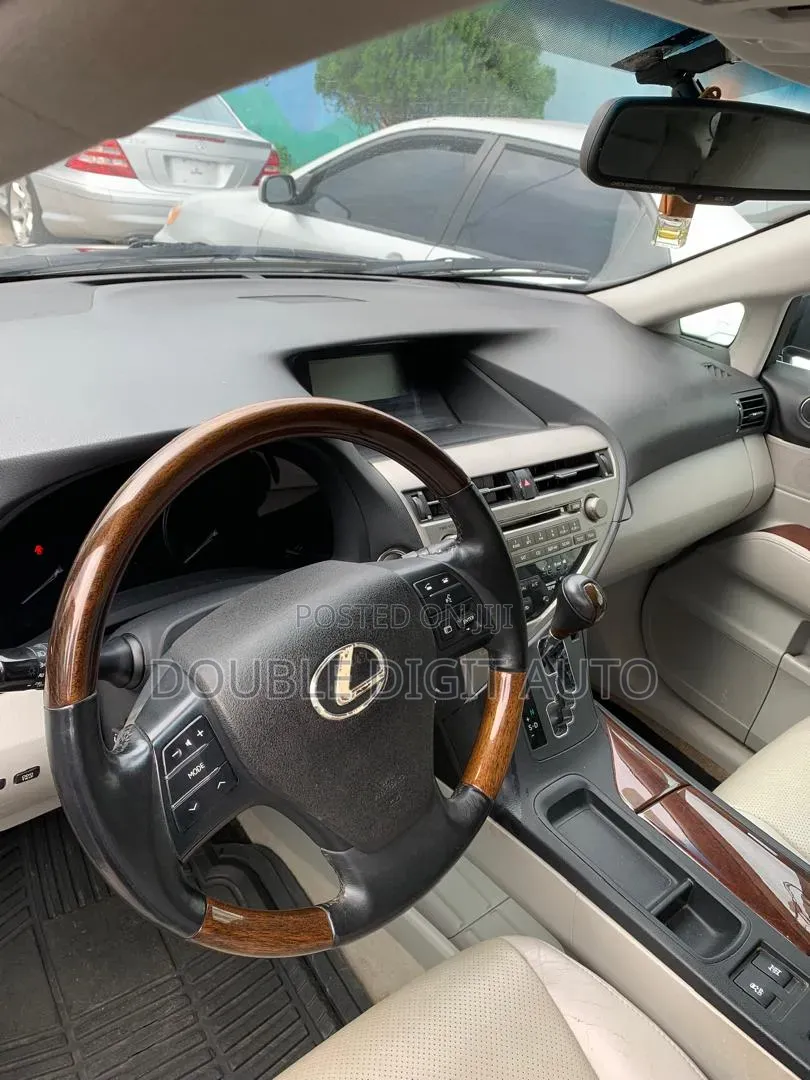 Lexus RX 2010 Gray