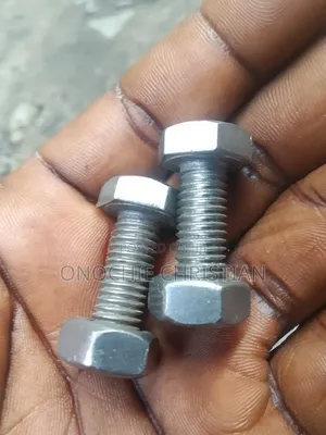 M12x40 Bolt and Nut S/S
