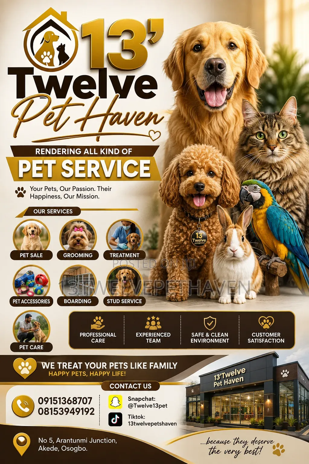 13'Twelve Pet Haven Grooming Service
