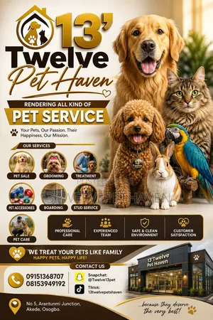 13'Twelve Pet Haven Grooming Service