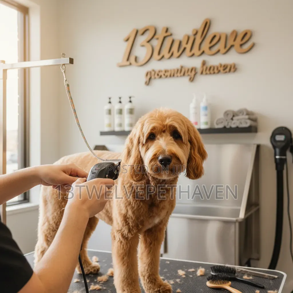 13'Twelve Pet Haven Grooming Service